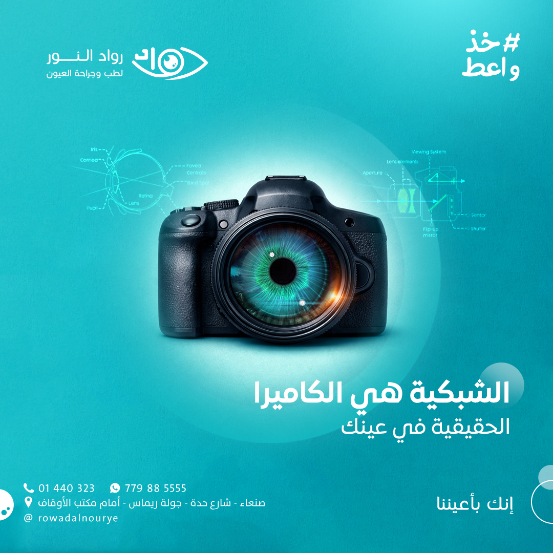 ماهو عمل الشبكية داخل العين